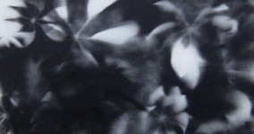 Layering 9/30/11